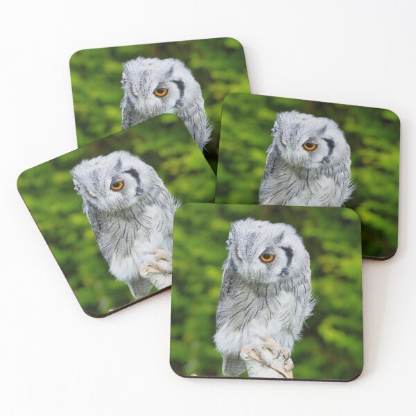 Item preview, Scops owl designed and sold by mohawkphotography.