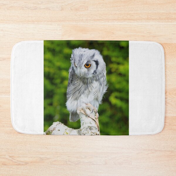 Item preview, Scops owl designed and sold by mohawkphotography.