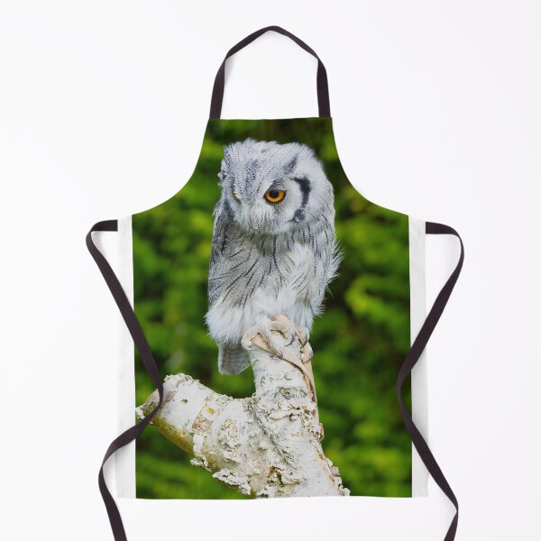 Item preview, Scops owl designed and sold by mohawkphotography.