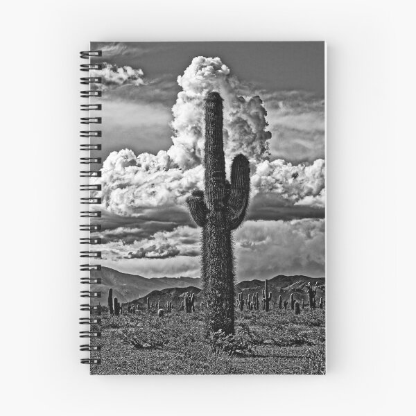 Item preview, Giant Cardón and Storm Cloud – Black and White Photo Los Cardones National Park Salta Argentina designed and sold by Keltoi-art.