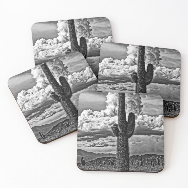 Item preview, Giant Cardón and Storm Cloud – Black and White Photo Los Cardones National Park Salta Argentina designed and sold by Keltoi-art.