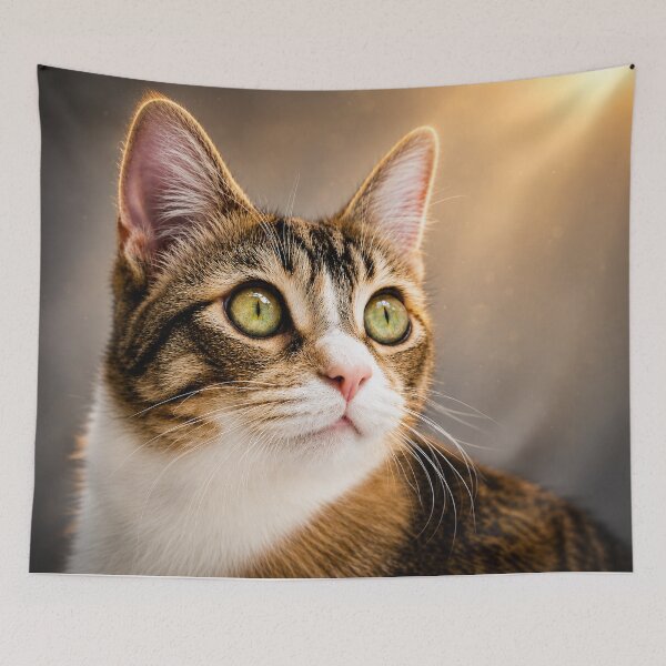 Item preview,     Whiskers and Wonder designed and sold by Kimberly Palmer.