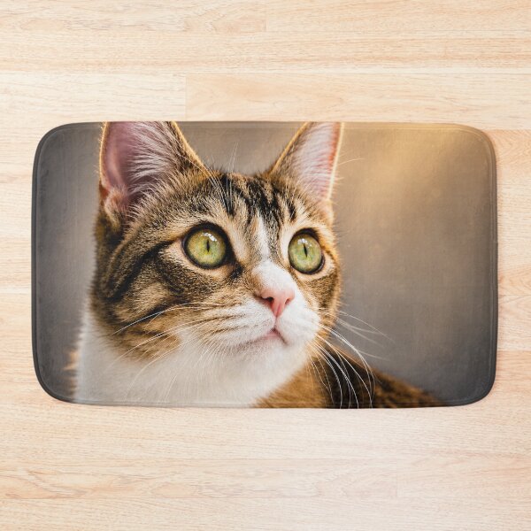 Item preview,     Whiskers and Wonder designed and sold by Kimberly Palmer.