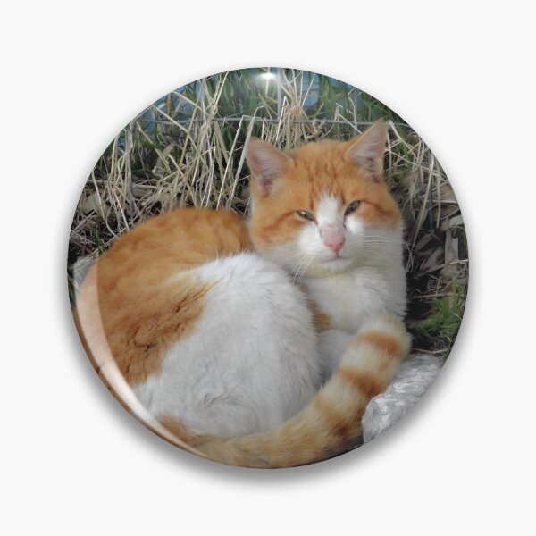 Item preview, Cozy Orange Tabby Furball with Almond Eyes designed and sold by aeolia.