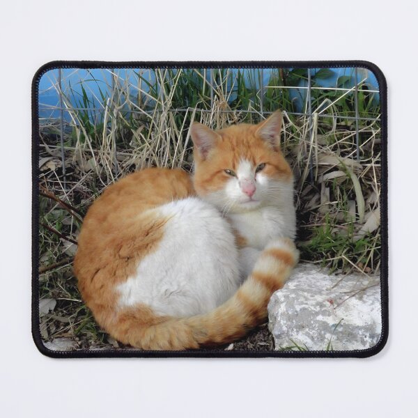 Item preview, Cozy Orange Tabby Furball with Almond Eyes designed and sold by aeolia.