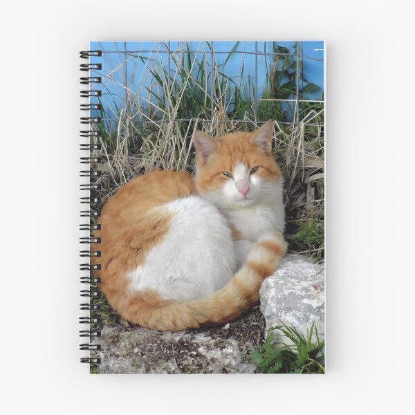 Item preview, Cozy Orange Tabby Furball with Almond Eyes designed and sold by aeolia.