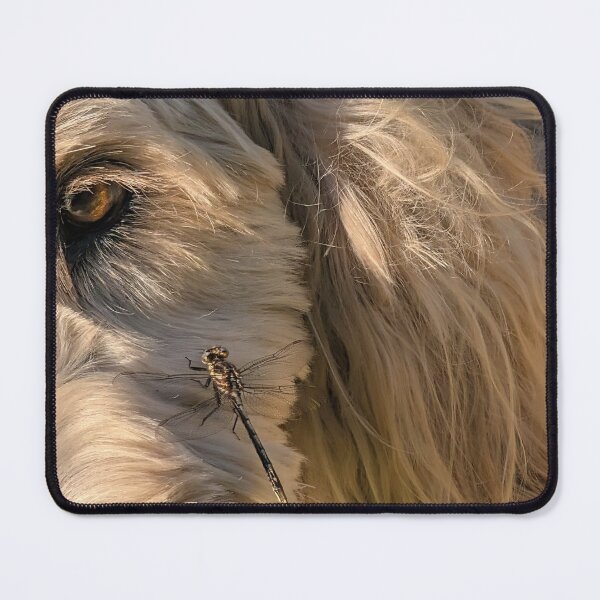 Item preview, Dragonfly Kiss designed and sold by orchiddesignco.