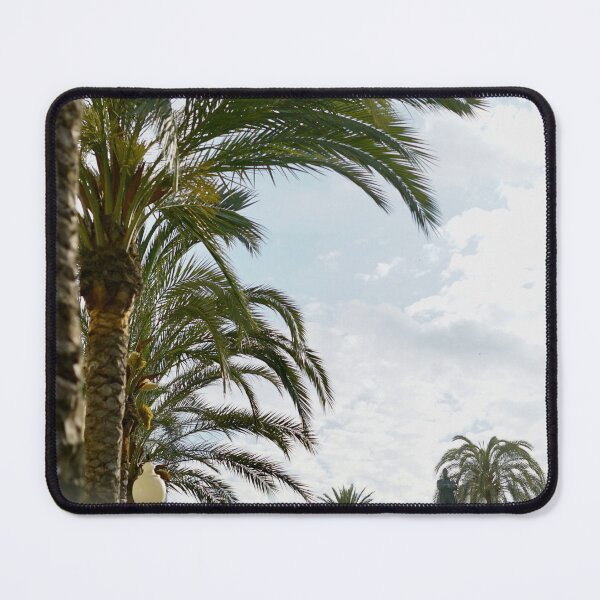 Item preview, Palm Trees of Cádiz | Andalusian Cityscape Photography designed and sold by Tropical Blood.