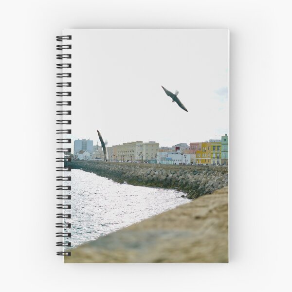 Item preview, Seagulls Over Cádiz Seafront | Coastal Spain Photography designed and sold by Tropical Blood.