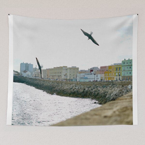 Item preview, Seagulls Over Cádiz Seafront | Coastal Spain Photography designed and sold by Tropical Blood.