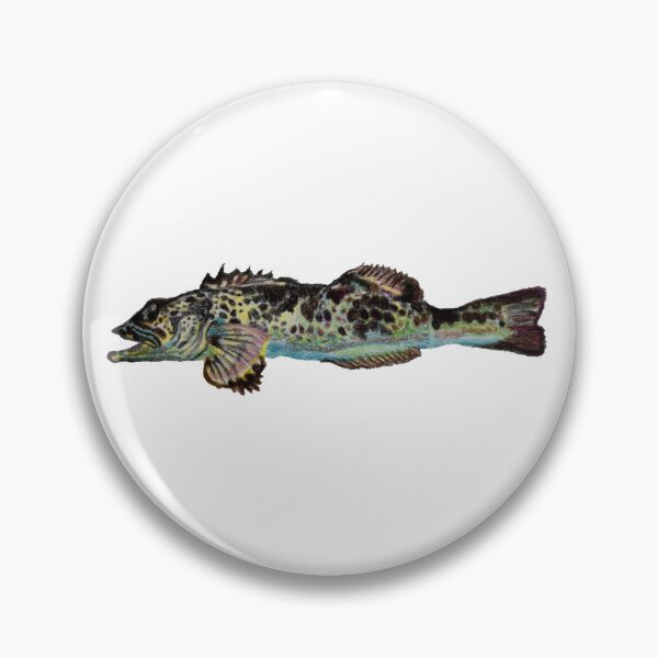 Item preview, Blue Lingcod designed and sold by Zig-art.