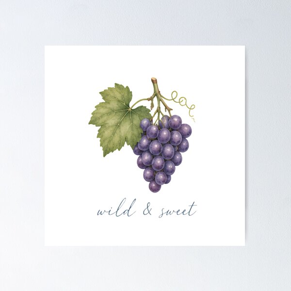 Item preview, Wild and Sweet Grapes Vineyard Botanical Illustration designed and sold by Backsay.