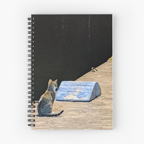 Item preview, Deep in Thought, Night Cat on a Greek Pier designed and sold by aeolia.