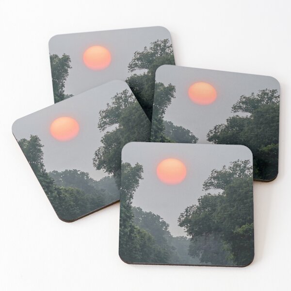 Item preview, Sunset Over Forest | EDINSTEPPE Collection designed and sold by E D I N S T E P P E.