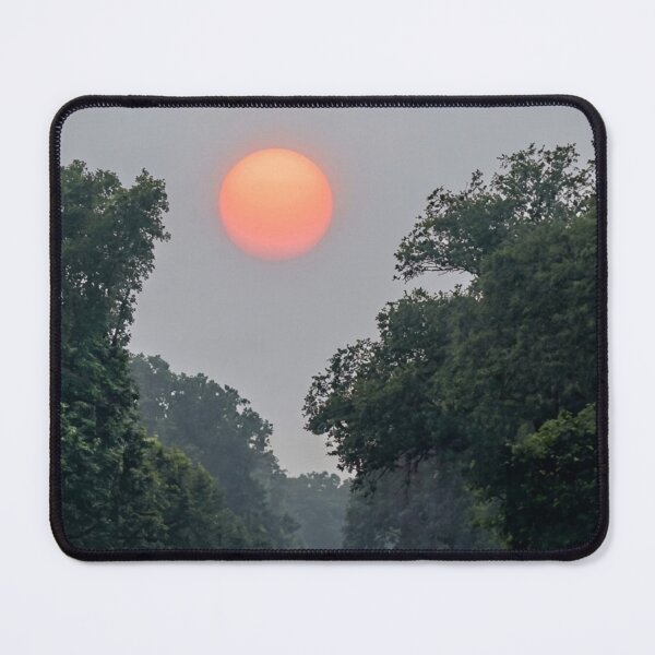 Item preview, Sunset Over Forest | EDINSTEPPE Collection designed and sold by E D I N S T E P P E.