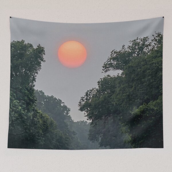 Item preview, Sunset Over Forest | EDINSTEPPE Collection designed and sold by E D I N S T E P P E.