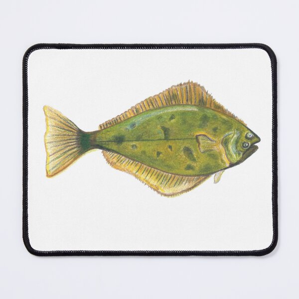 Item preview, Halibut designed and sold by Zig-art.