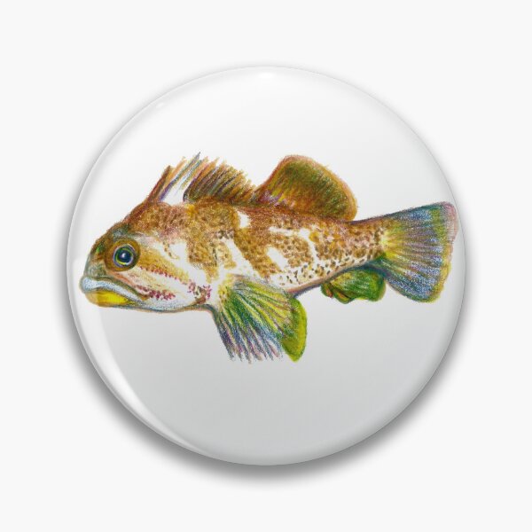 Item preview, Gopher Rockfish designed and sold by Zig-art.