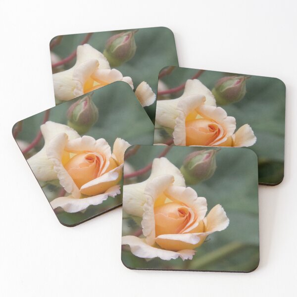 Item preview, A Rose is not just a Rose! designed and sold by Lsteuart.
