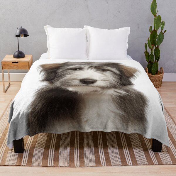 Item preview, Adorable Bearded Collie puppy for Cute Highland Collie puppy lovers designed and sold by LazyOwlStore.