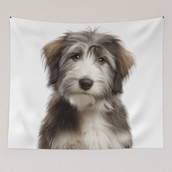 Item preview, Adorable Bearded Collie puppy for Cute Highland Collie puppy lovers designed and sold by LazyOwlStore.