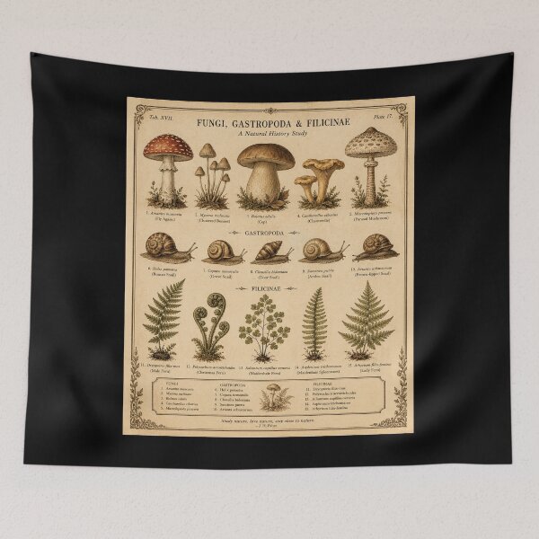 Item preview, Vintage Fungi Botanical Poster designed and sold by Mr-AShop.