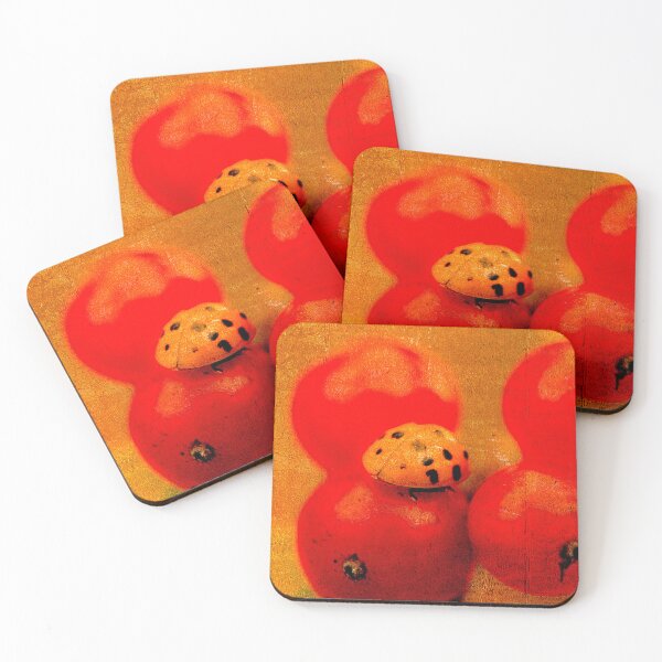 Item preview, LadyBug designed and sold by bkgfoto.