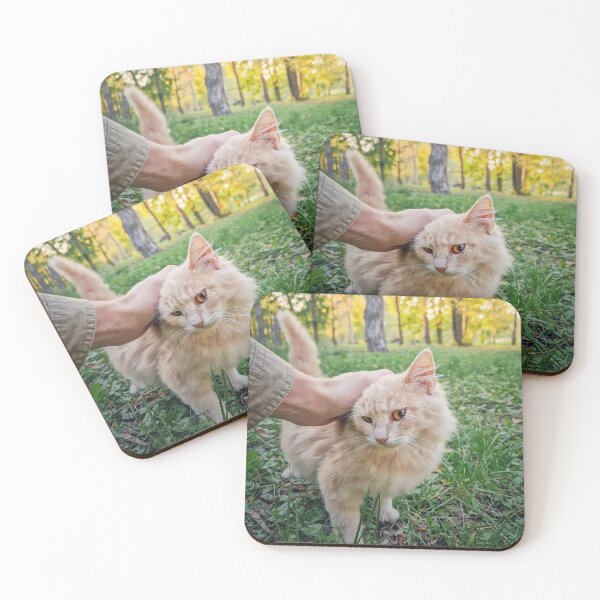 Item preview, petting a fluffy cat  designed and sold by psychoshadow.
