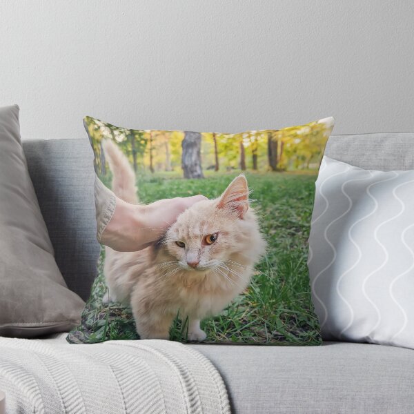 Item preview, petting a fluffy cat  designed and sold by psychoshadow.