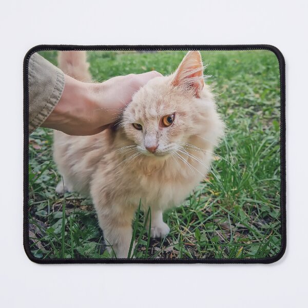 Item preview, petting a fluffy cat  designed and sold by psychoshadow.