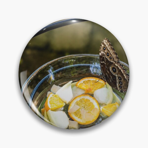 Item preview, Butterfly Banquet in a Garden Oasis designed and sold by AutumnLeAnnDesigns.
