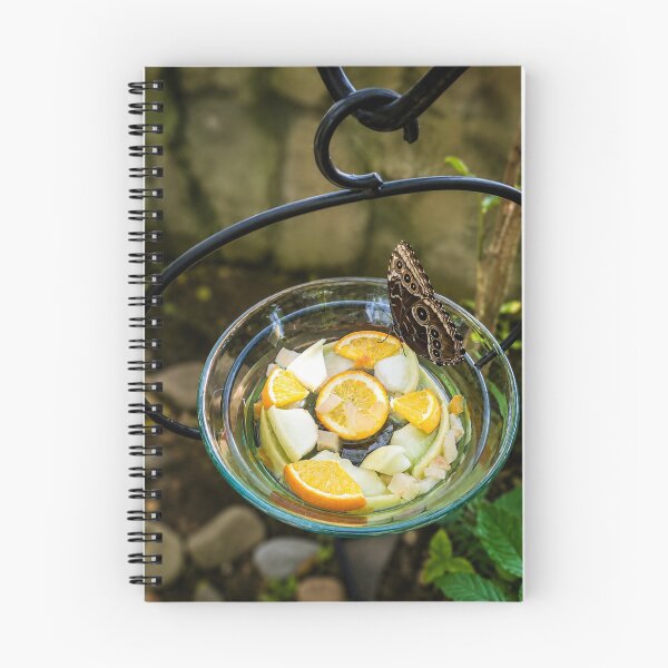 Item preview, Butterfly Banquet in a Garden Oasis designed and sold by AutumnLeAnnDesigns.