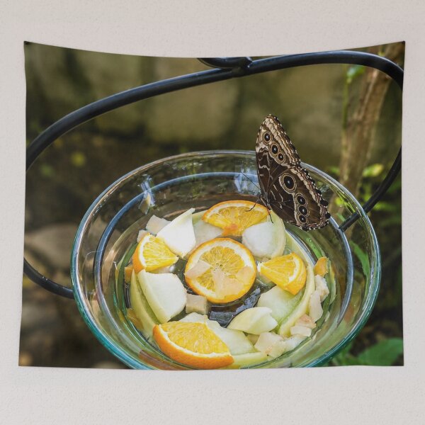 Item preview, Butterfly Banquet in a Garden Oasis designed and sold by AutumnLeAnnDesigns.