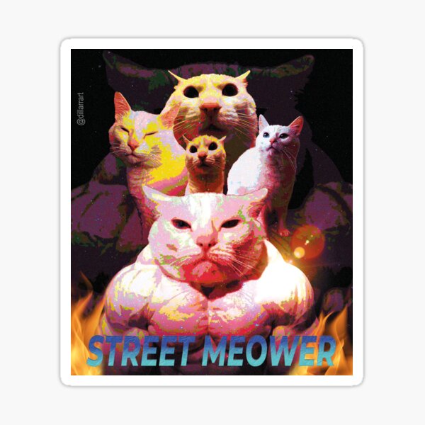 Item preview, Street Meower designed and sold by dillarrart.