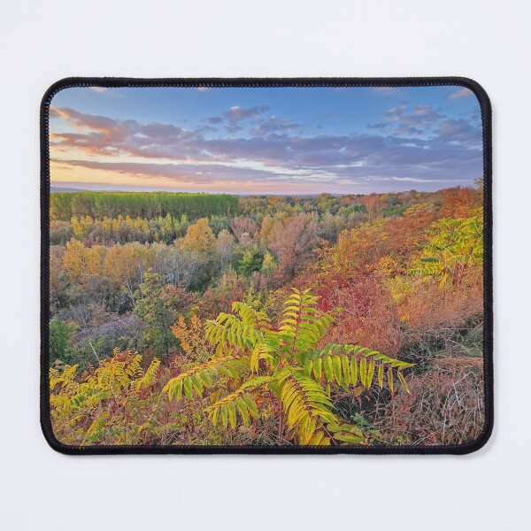Item preview, multicolored forest canopy designed and sold by psychoshadow.