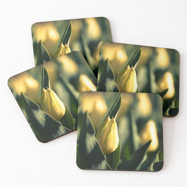 Item preview, Lily designed and sold by bkgfoto.