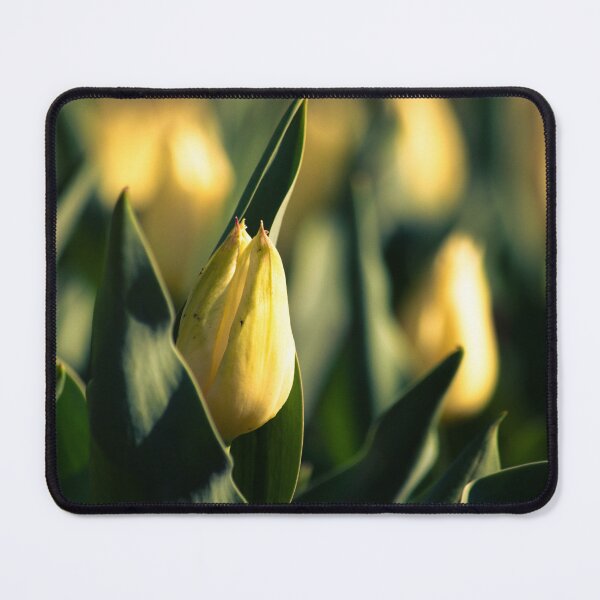 Item preview, Lily designed and sold by bkgfoto.