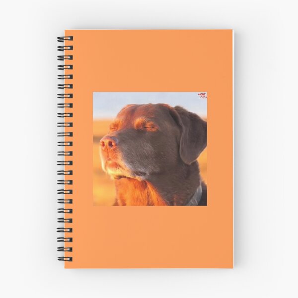 Item preview, Dog looking into sun tiktok reaction sticker meme designed and sold by sloppydesignss.