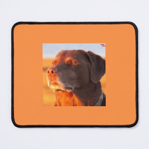 Item preview, Dog looking into sun tiktok reaction sticker meme designed and sold by sloppydesignss.