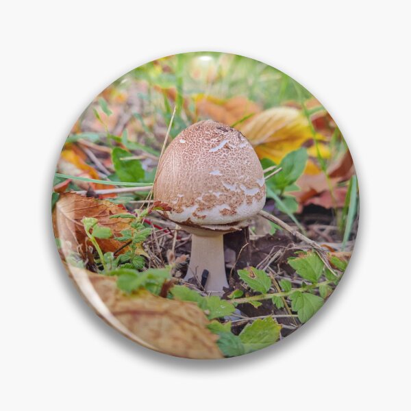 Item preview, mushroom growing among fallen leaves designed and sold by psychoshadow.