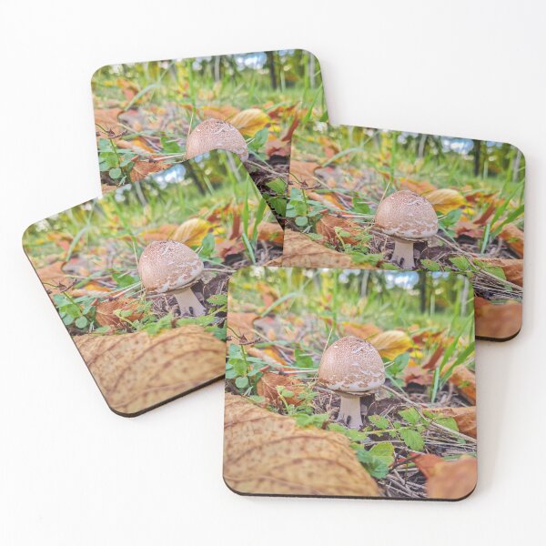 Item preview, mushroom growing among fallen leaves designed and sold by psychoshadow.