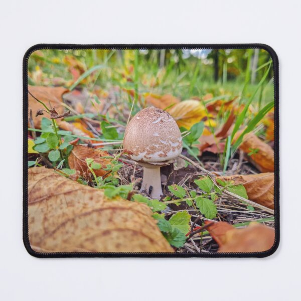 Item preview, mushroom growing among fallen leaves designed and sold by psychoshadow.