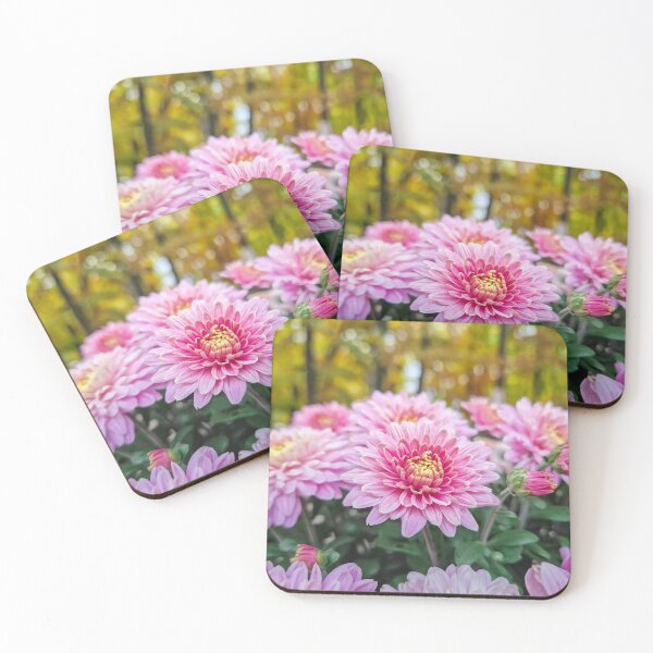 Item preview, bloomed pink chrysanthemums designed and sold by psychoshadow.