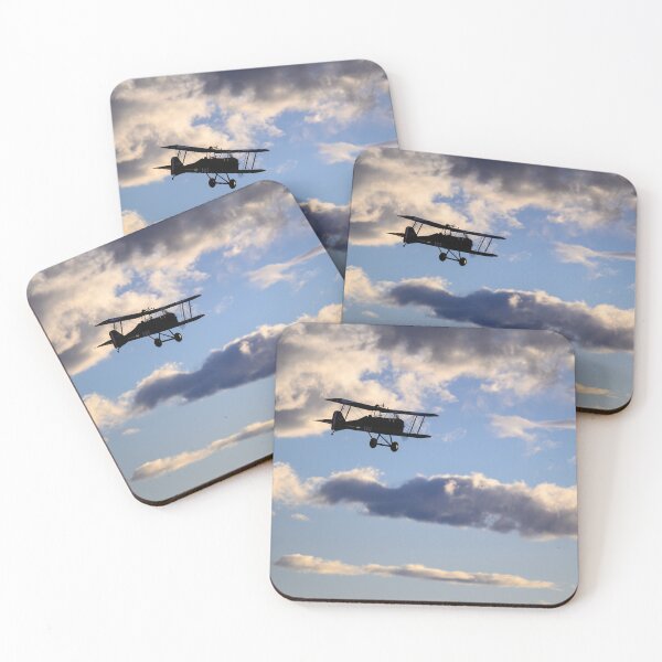 Item preview, 1917 SE5a replica sunset flight designed and sold by Greg Birkett.