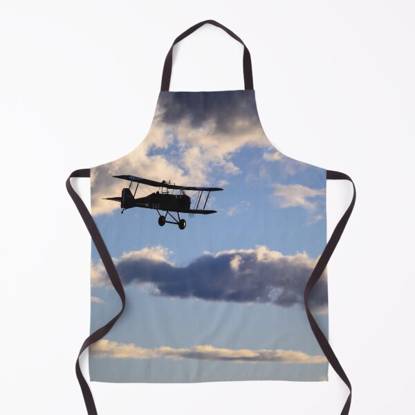 Item preview, 1917 SE5a replica sunset flight designed and sold by Greg Birkett.