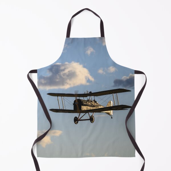 Item preview, 1917 SE5a replica sunset flight designed and sold by Greg Birkett.