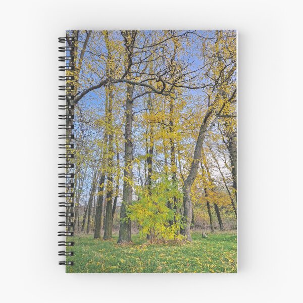 Item preview, autumnal Honey Locust trees designed and sold by psychoshadow.