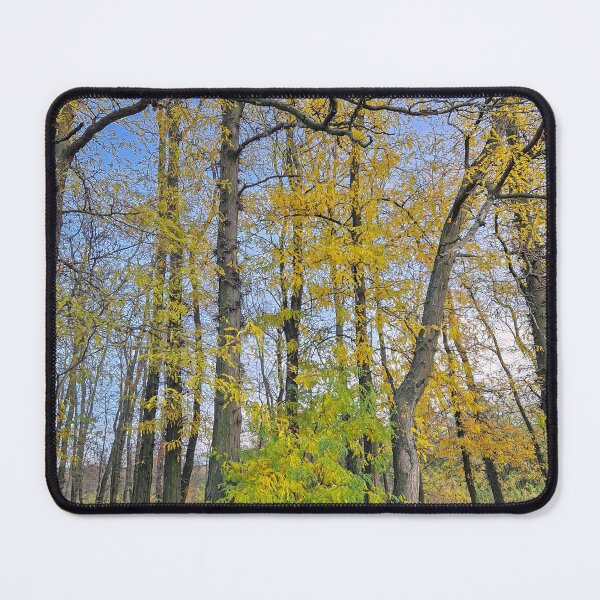 Item preview, autumnal Honey Locust trees designed and sold by psychoshadow.