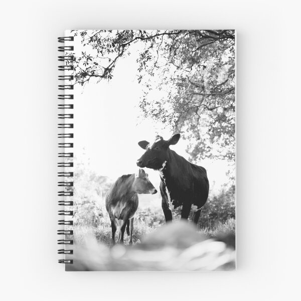 Item preview, Winter Morning Cows designed and sold by anafrancisconi.