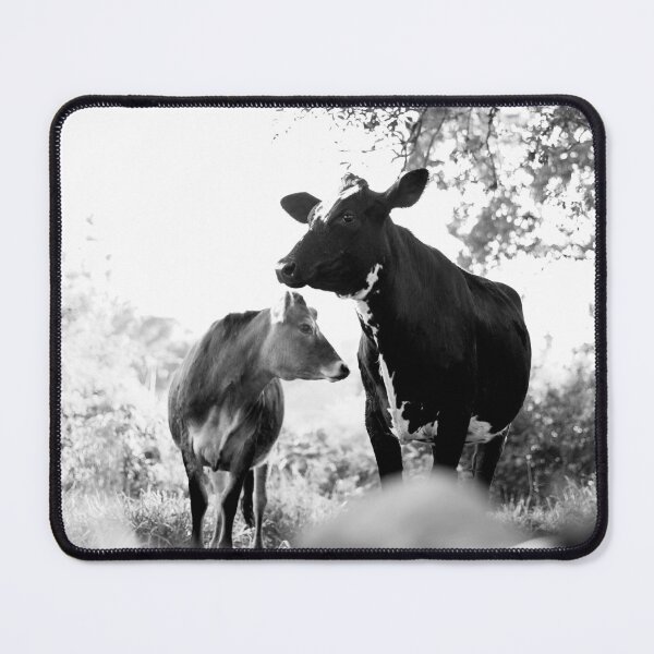 Item preview, Winter Morning Cows designed and sold by anafrancisconi.
